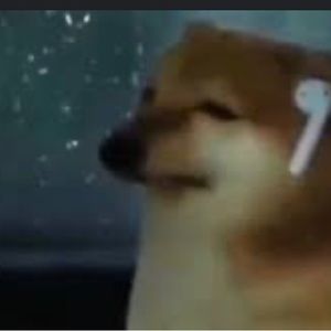 Meet your Posher, Tory